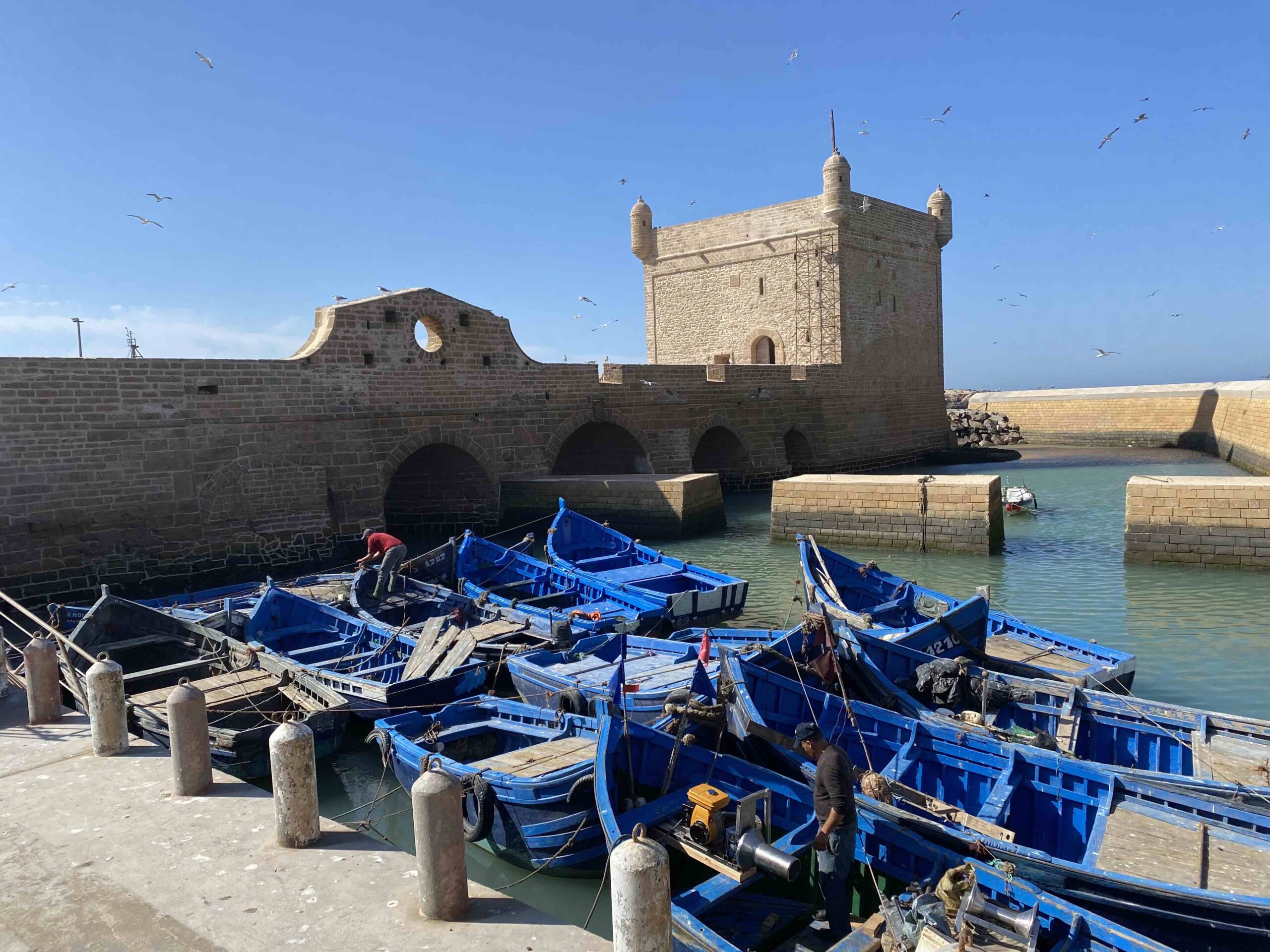 Essaouira strand-dagtrips vanuit Marrakech