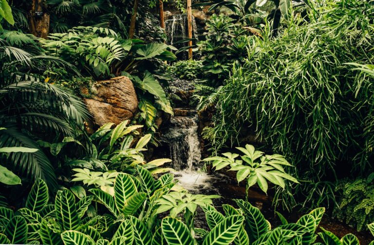 Botanische tuin