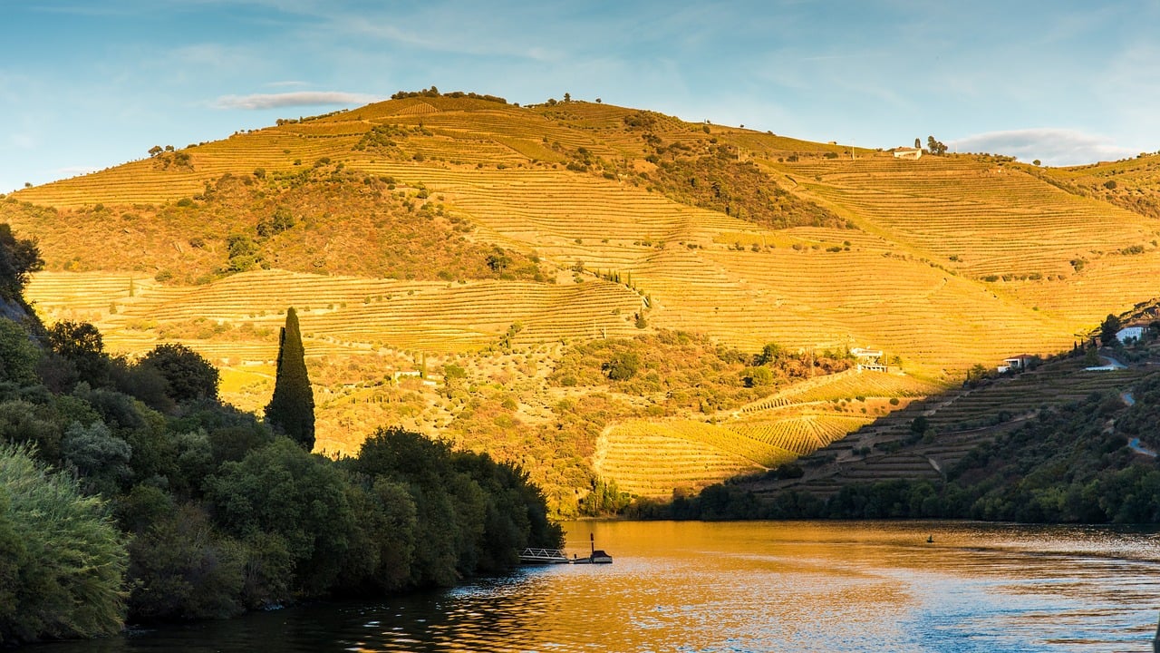 Dagtrips vanuit Porto