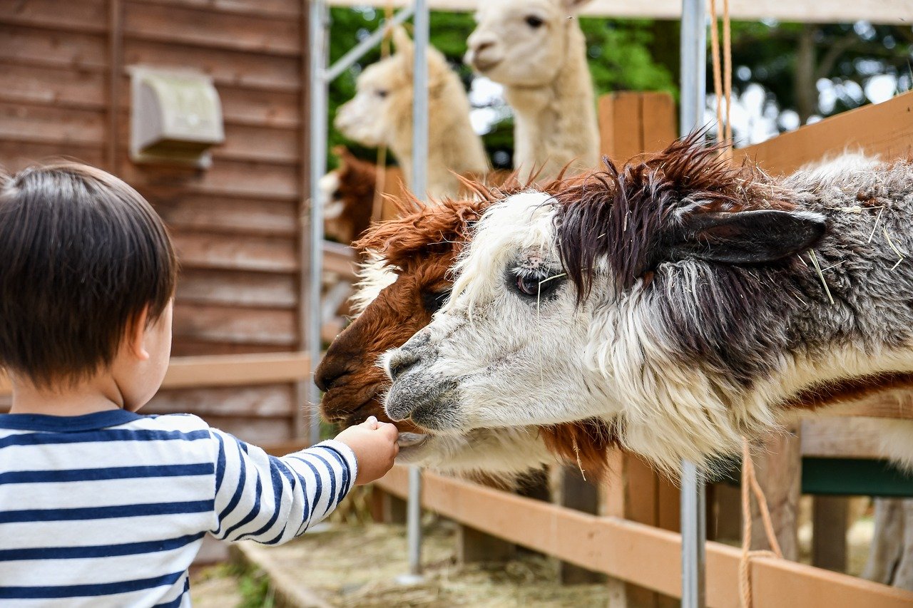 met kinderen naar Arnhem