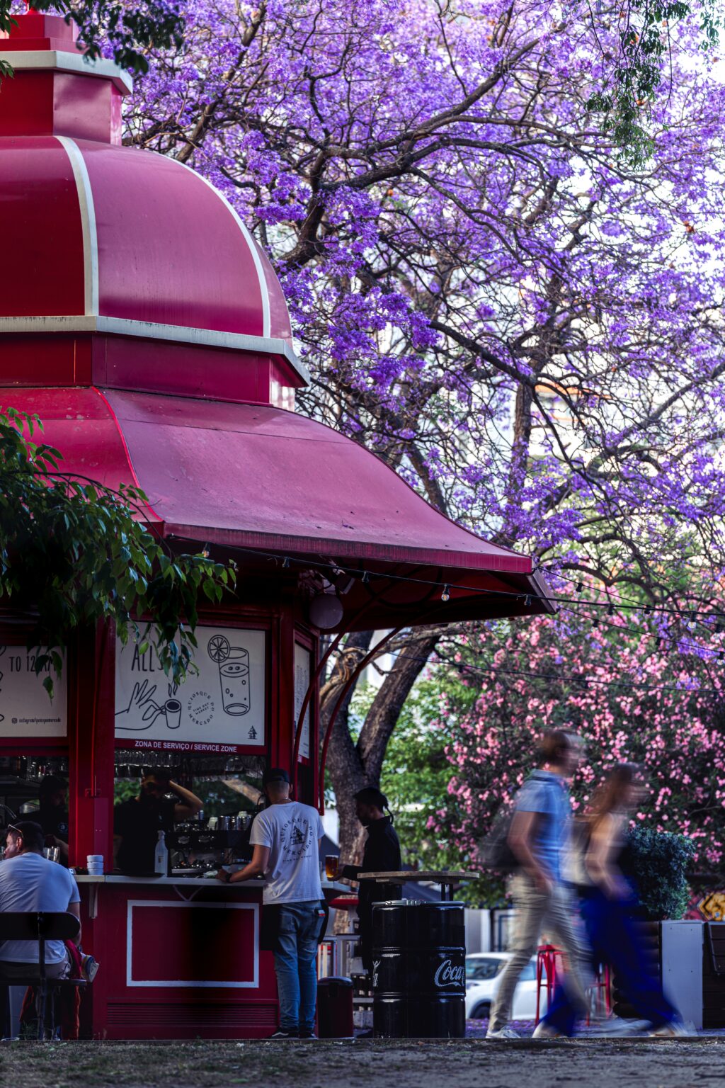 Jacaranda's in de lente in Lissabon