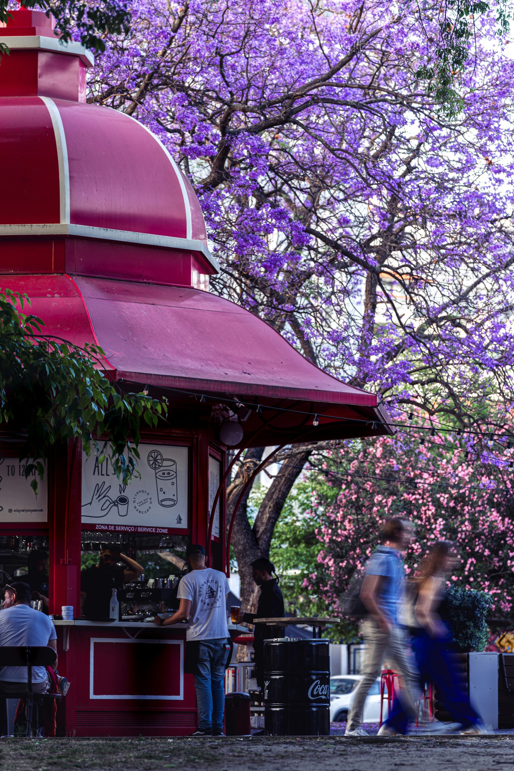 Jacaranda's in de lente in Lissabon