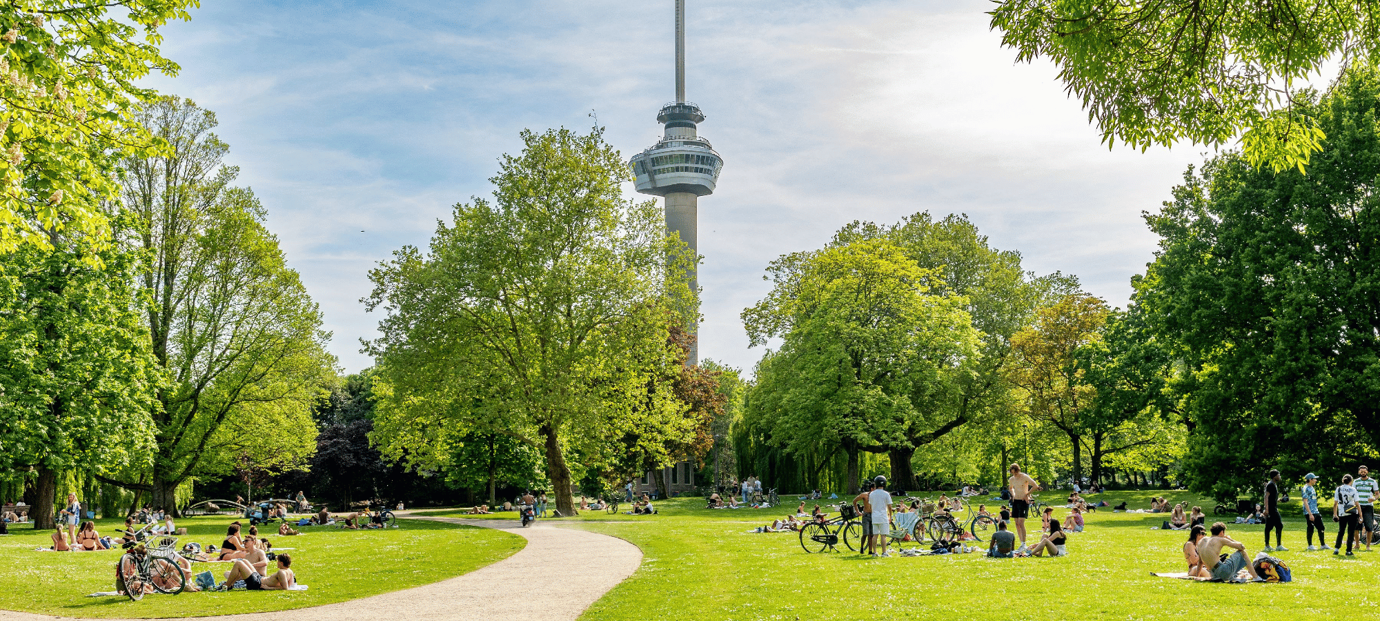 must-sees Rotterdam