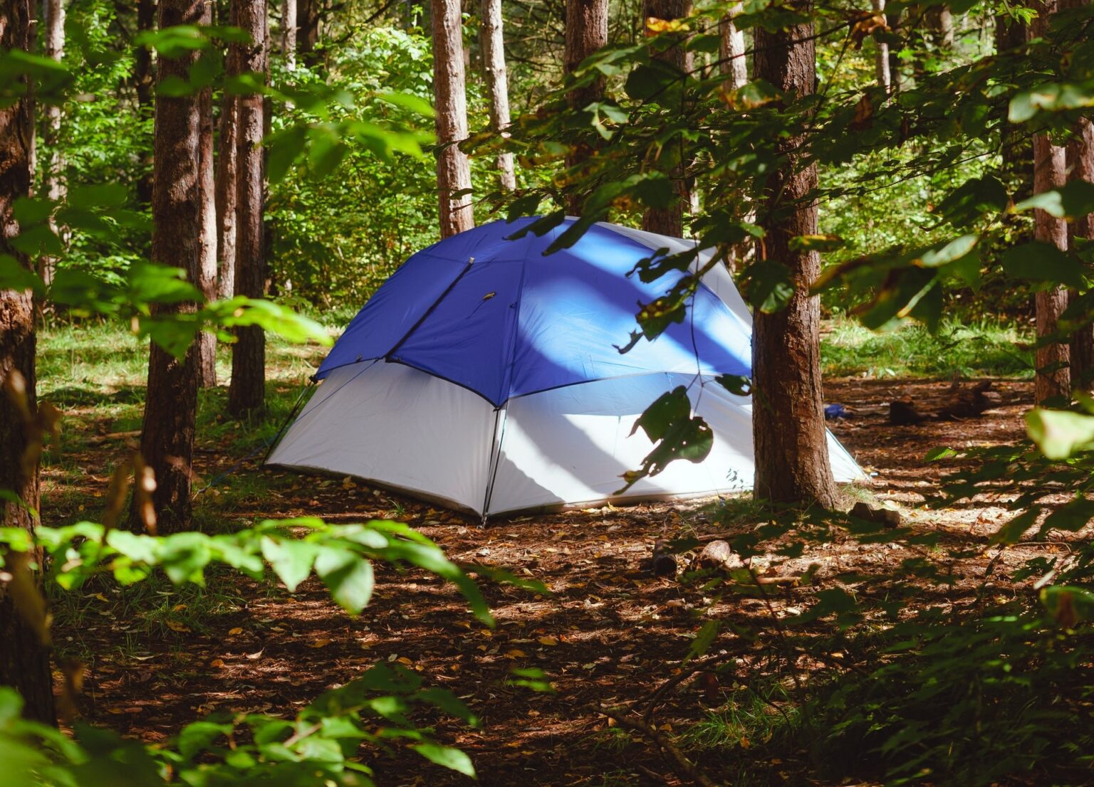 Eindhoven stedentrip vanaf de camping