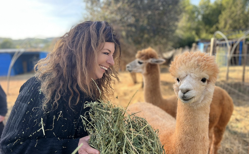 Ibiza met kinderen - alpaca's