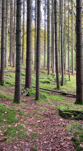 Omgeving Luik